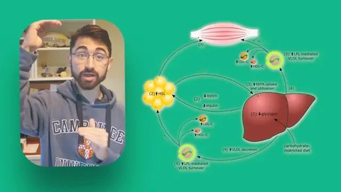Experimen Nick Norwitz Makan 720 Telur (Credit: Youtube/Nick Norwitz @nicknorwitzPhD)