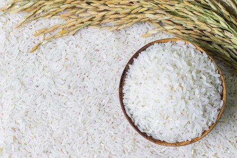 Pemerintah akan membagikan secara gratis Alat Memasak Berbasis Listrik (AML) yang berbentuk penanak nasi (rice cooker). Foto: Freepik