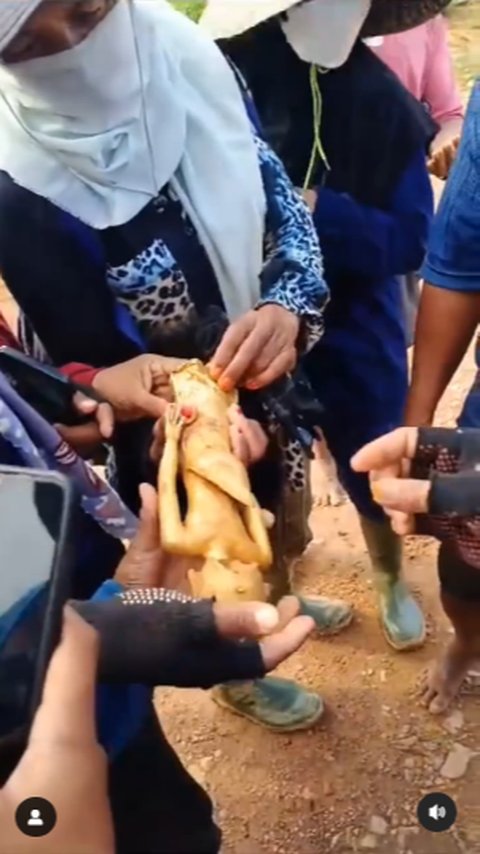 Pria Ini Temukan Patung Emas di Area Perkebunan Sawit