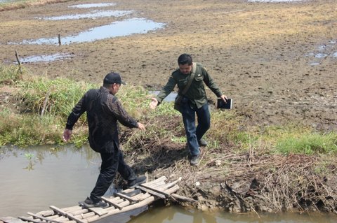 Mekanisasi Pertanian! Ini Strategi Inovatif Pemerintah Menuju Ketahanan Pangan Nasional