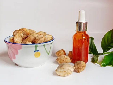 Ilustrasi Kemiri Credit: pexels.com/Hunt