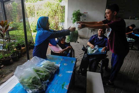 FOTO: Semangat Penyandang Difabel Panen dan Jual Sayuran Hasil Kebun Hidroponik