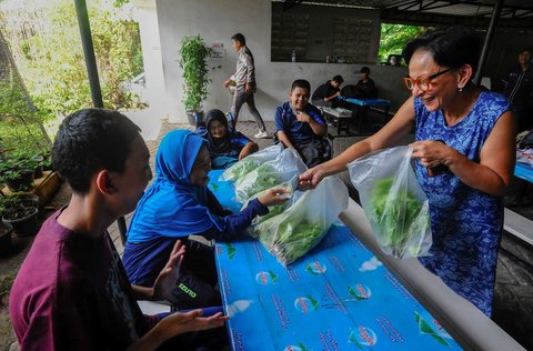 FOTO: Semangat Penyandang Difabel Panen dan Jual Sayuran Hasil Kebun Hidroponik