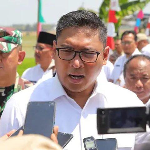 Wakil Menteri Pertanian (Wamentan) Sudaryono/Istimewa.