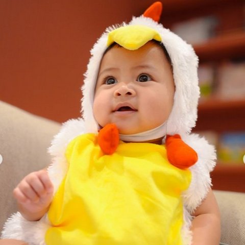 3 Foto Baby Lily Jalani Pemotretan Pakai Kostum Ayam, Diapit Kedua Kakak Ganteng Rafathar & Rayyanza