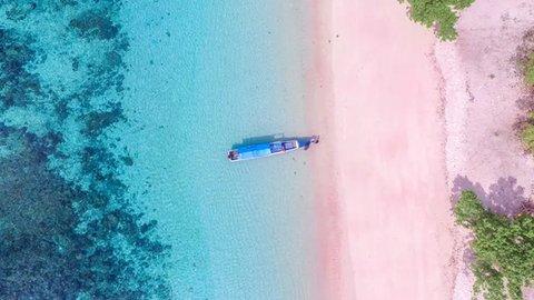 pantai pink