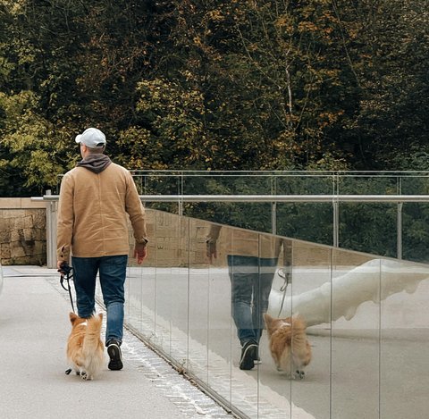 Cara Menjadikan Berjalan Kaki sebagai Rutinitas Harian
