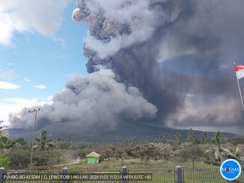 FOTO: Kepanikan Warga saat Gunung Lewotobi Laki-Laki Meletus Dahsyat