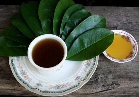 Minuman Teh dari Daun Ini Ampuh Turunkan Kolesterol