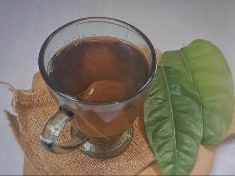 Minuman Teh dari Daun Ini Ampuh Turunkan Kolesterol