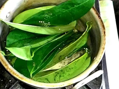 6 Resep Minuman Herbal dari Daun, Ampuh Lawan Kolesterol, Asam Urat, dan Darah Tinggi