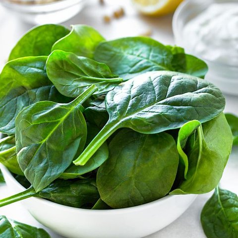 Daun Bayam