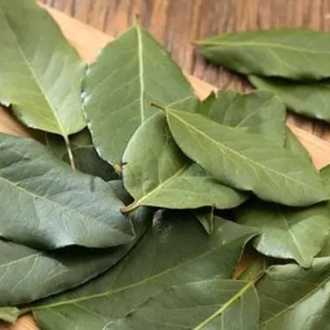 Daun Salam (Sumber: iStock)