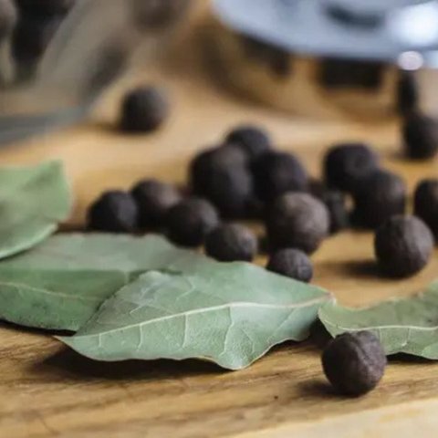 Ilustrasi daun salam/https://unsplash.com/VojtechHavlis