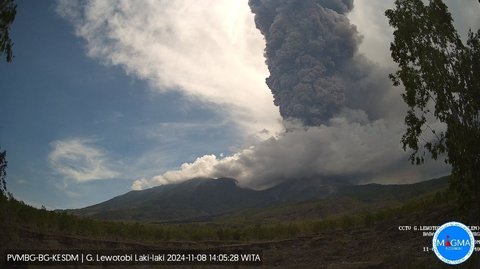 FOTO: Dahsyatnya Letusan Terbaru Gunung Lewotobi Laki-Laki, Lontarkan Abu Vulkanik Setinggi 4.000 Meter