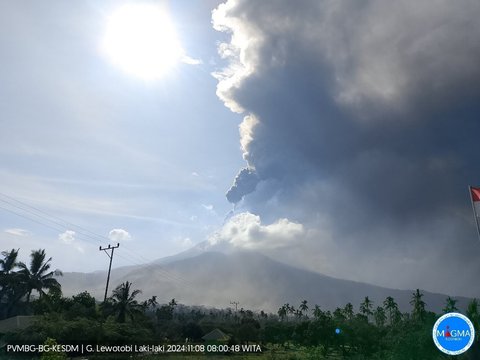 FOTO: Dahsyatnya Letusan Terbaru Gunung Lewotobi Laki-Laki, Lontarkan Abu Vulkanik Setinggi 4.000 Meter