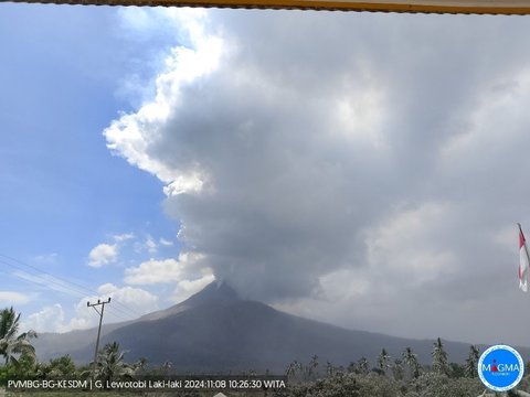 FOTO: Dahsyatnya Letusan Terbaru Gunung Lewotobi Laki-Laki, Lontarkan Abu Vulkanik Setinggi 4.000 Meter