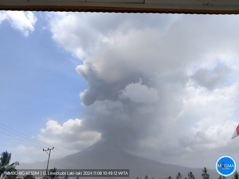 FOTO: Dahsyatnya Letusan Terbaru Gunung Lewotobi Laki-Laki, Lontarkan Abu Vulkanik Setinggi 4.000 Meter