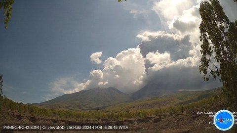 FOTO: Dahsyatnya Letusan Terbaru Gunung Lewotobi Laki-Laki, Lontarkan Abu Vulkanik Setinggi 4.000 Meter