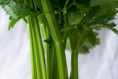 Ilustrasi daun bawang/credit: pexels.com/Larissa