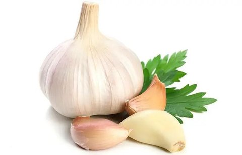 Bawang Putih. (foto: Pinterest/JawaPos).