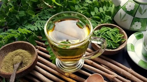 Daun Kelor (Sumber: paulsober.wordpress.com)