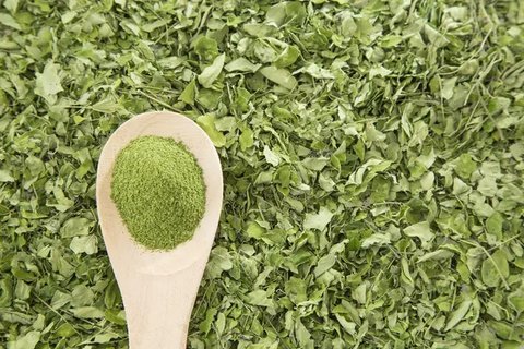 Daun Kelor (Sumber: paulsober.wordpress.com)