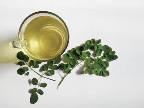 Daun Kelor (Sumber: paulsober.wordpress.com)