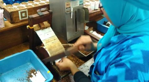 Semangat ribuan pekerja PT Djarum melinting, merapikan, dan mengepak jutaan batang rokok. (Fiki/Liputan6.com)