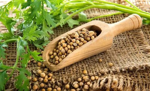 Air Ketumbar. (foto: Pinterest/Stylecraze).