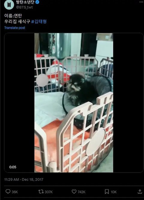 Yeontan dan V BTS. (Instagram/ thv)