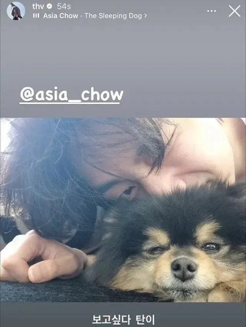 Yeontan dan V BTS. (Instagram/ thv)