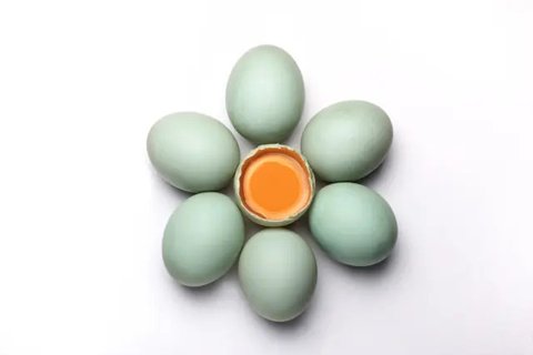 Ilustrasi telur bebek (dok. Pixabay.com/ivabalk)