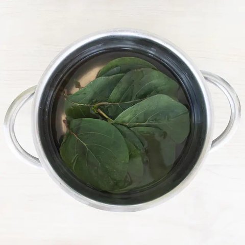 Ilustrasi jamu. (Copyright Freepik/azerbaijan_stockers)