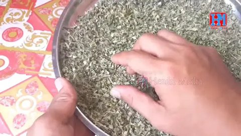 Manfaat Daun Jeruk Purut (Sumber: wikimedia.org)