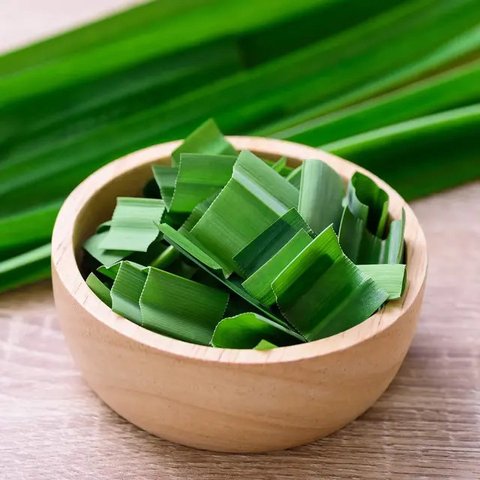 Bukan hanya rasa dan wangi khasnya, ternyata daun pandan memiliki sejumlah manfaat kesehatan.