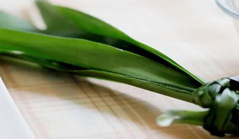 Bukan hanya rasa dan wangi khasnya, ternyata daun pandan memiliki sejumlah manfaat kesehatan.