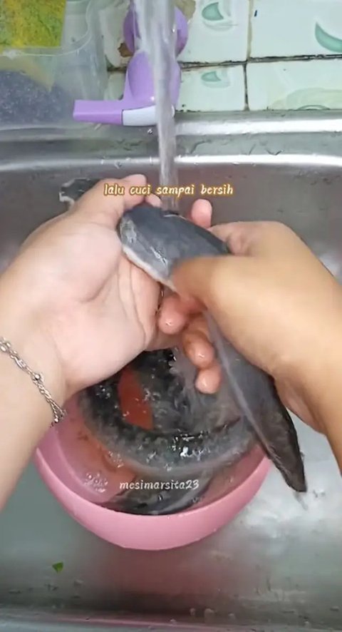 Ilustrasi membersihkan ikan./Copyright shutterstock.com/g/daffodilred