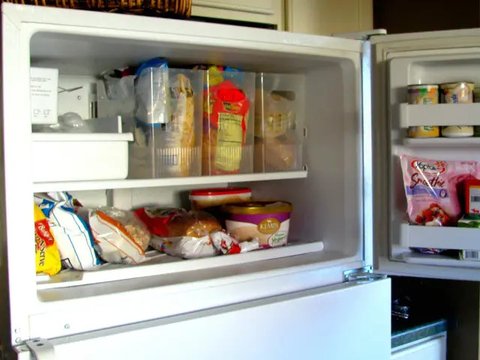 ilustrasi jamur kuping (Sumber: iStockphoto)