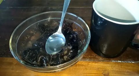 ilustrasi jamur kuping (Sumber: iStockphoto)