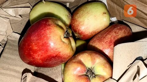 Apel Bisa Turunkan Kadar Kolesterol Jahat, Pakar Sarankan Makan dengan Kulitnya. Foto: Liputan6.com/Ade Nasihudin.