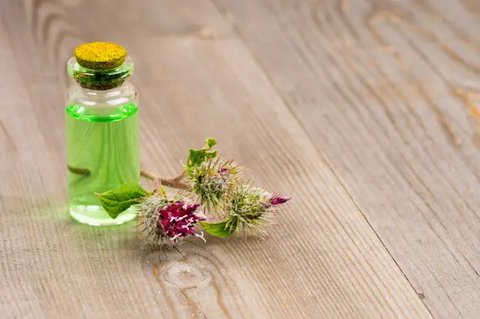 ilustrsi gambar cicak (sumber: Pixabay)