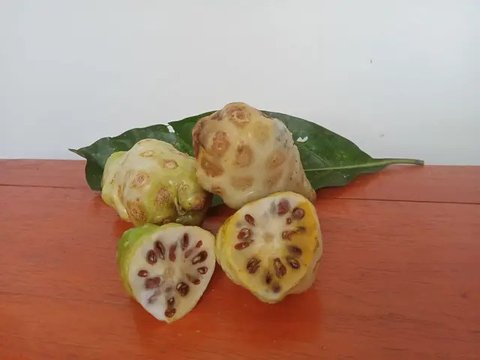 Mengkudu. (Via: sites.google.com)