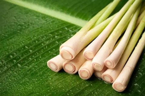 Air Serai. (foto: Pinterest/Healthier Steps).