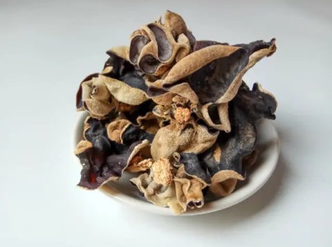 ilustrasi jamur kuping (Sumber: iStockphoto)