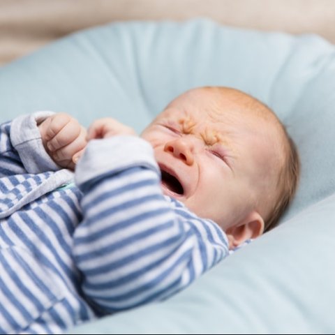Ilustrasi Baby Blues