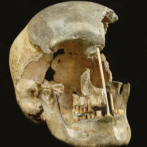 Ilmuwan Temukan DNA Homo Sapiens Tertua, Ungkap Cabang Pohon Keluarga Manusia yang Hilang