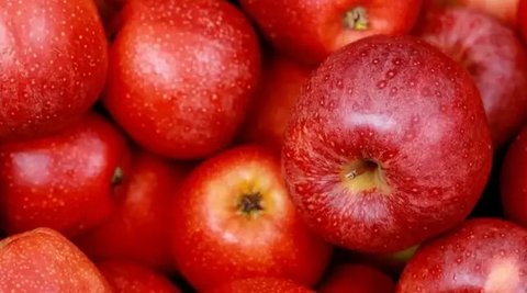 Ilustrasi buah apel. Sumber: Pixabay