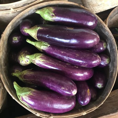 Manfaat Terong untuk Tubuh Anda