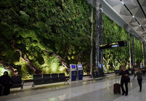 Penumpang pesawat  berjalan melewati lorong yang rimbun dengan suasana tanaman tropis di Terminal 3 Bandara Internasional Soekarno Hatta, Tangerang, Banten, Selasa (17/12/2024).
